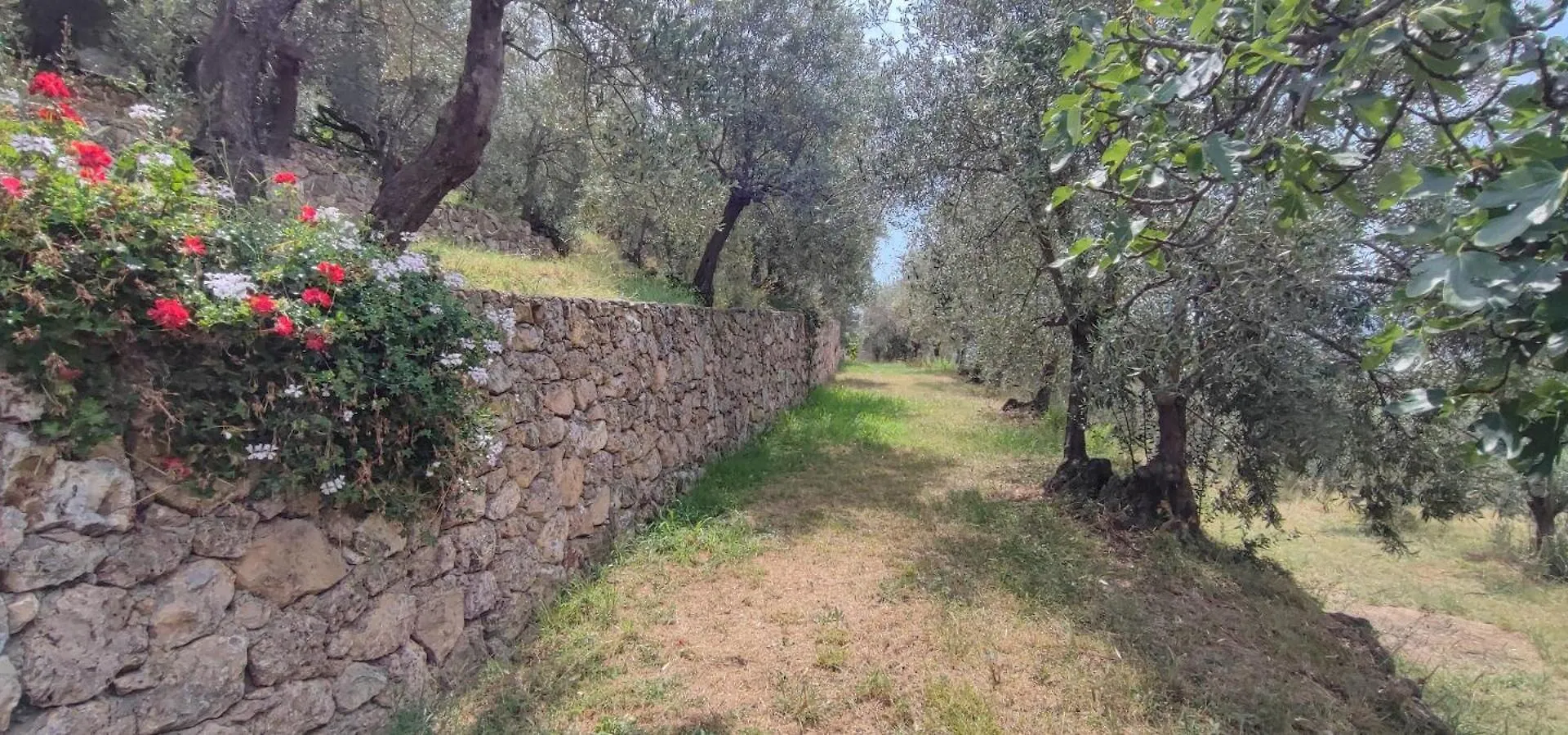 Agriturismo Peterpan Pietra Ligure Alloggio per agriturismo