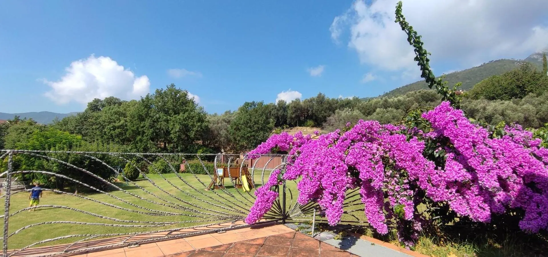 Agriturismo Peterpan Pietra Ligure İtalya